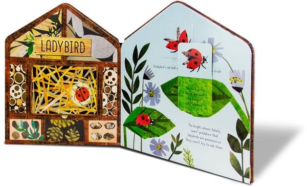 Produktbild: Mein Insektenhotel - Biene, Schmetterling und K&auml;fer