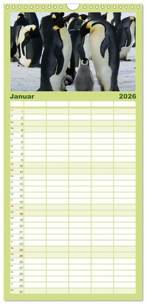 Produktbild: Familienplaner 2026 - Pinguine - Watscheln im festlichen Kleid mit 5 Spalten (Wandkalender, 21 x 45 cm) CALVENDO