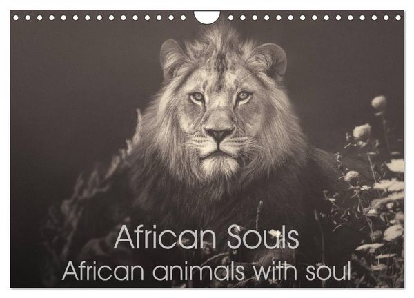 Produktbild: African Souls African animals with soul (Wall Calendar 2026 DIN A4 landscape), CALVENDO 12 Month Wall Calendar