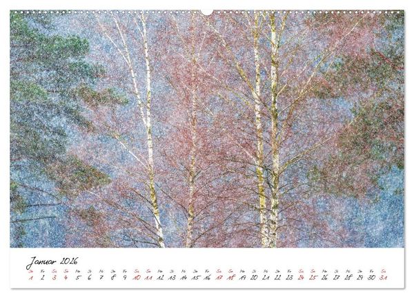 Produktbild: Im Atem der B&auml;ume (Wandkalender 2026 DIN A2 quer), CALVENDO Monatskalender