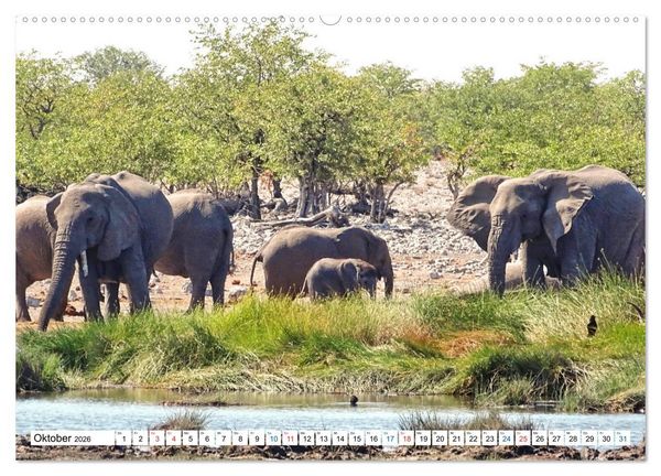 Produktbild: Namibia, Faszination W&uuml;ste und Tierwelt (hochwertiger Premium Wandkalender 2026 DIN A2 quer), Kunstdruck in Hochglanz
