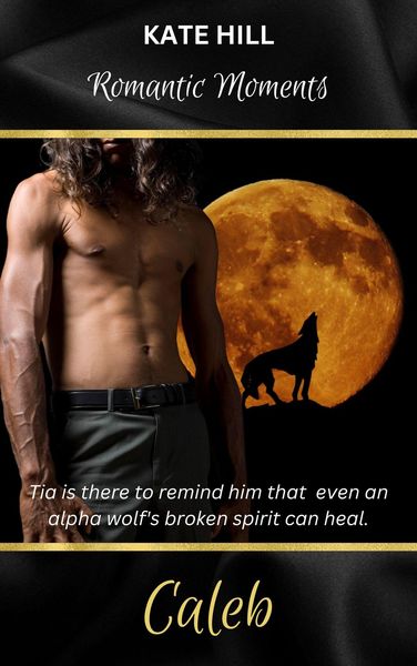 Produktbild: Caleb (Romantic Moments, #2)