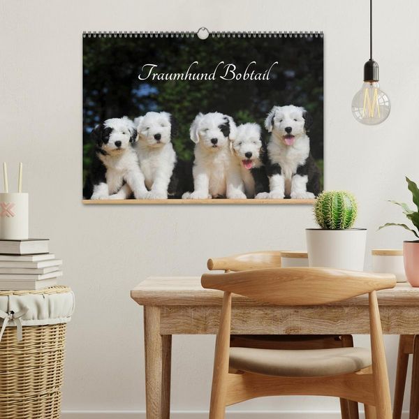 Produktbild: Traumhund Bobtail (Wandkalender 2026 DIN A3 quer), CALVENDO Monatskalender