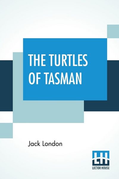 Produktbild: The Turtles Of Tasman