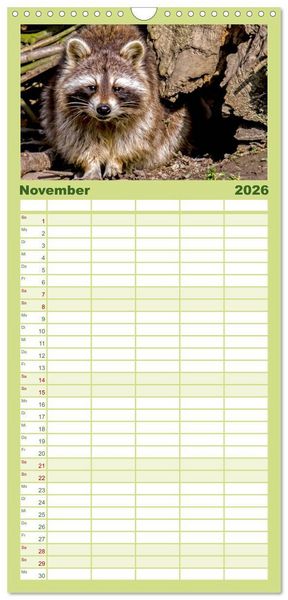 Produktbild: Familienplaner 2026 - Waschb&auml;r - Niedlicher Allesfresser mit 5 Spalten (Wandkalender, 21 x 45 cm) CALVENDO