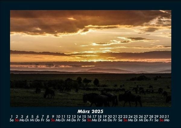 Produktbild: Tiere in der Wildnis 2025 Fotokalender DIN A5