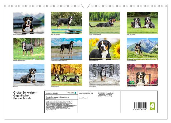 Produktbild: Gro&szlig;e Schweizer - Gigantische Sennenhunde (Wandkalender 2026 DIN A3 quer), CALVENDO Monatskalender