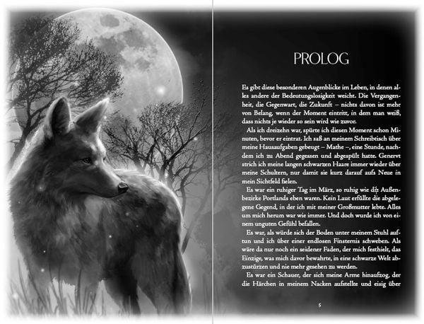 Produktbild: Kissing the Dark