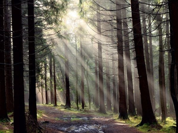 Produktbild: CALVENDO Puzzle Nach dem Regen, Erzgebirge | 1000 Teile Lege-Gr&ouml;&szlig;e 64x48cm Foto-Puzzle f&uuml;r gl&uuml;ckliche Stunden