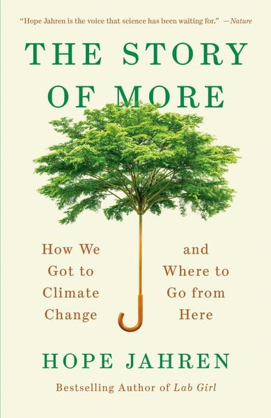 Produktbild: The Story of More
