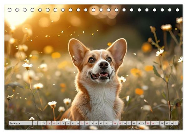 Produktbild: Corgis in Bloom (Desk Calendar 2026 DIN A5 landscape), CALVENDO 12 Month DeskCalendar