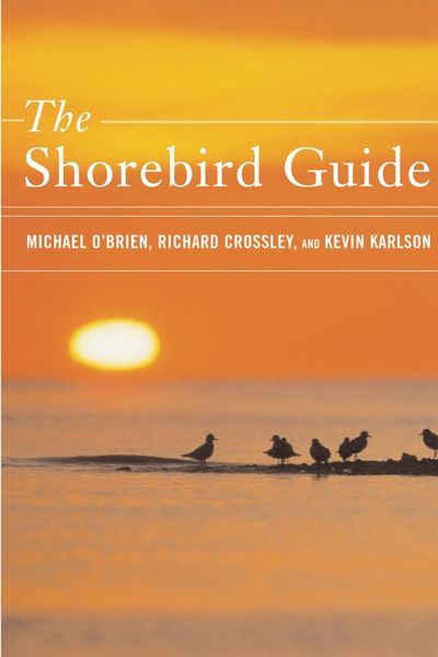 Produktbild: The Shorebird Guide