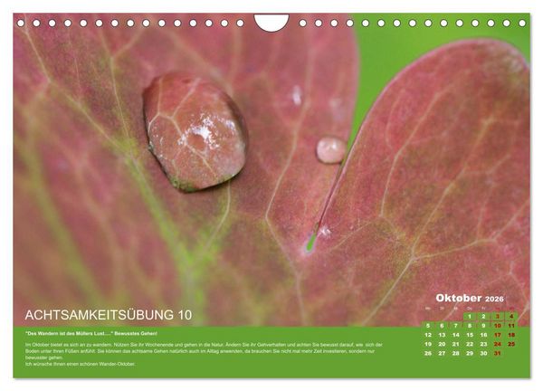 Produktbild: Achtsamkeit, 12 &Uuml;bungen zu mehr Achtsamkeit. (Wandkalender 2026 DIN A4 quer), CALVENDO Monatskalender
