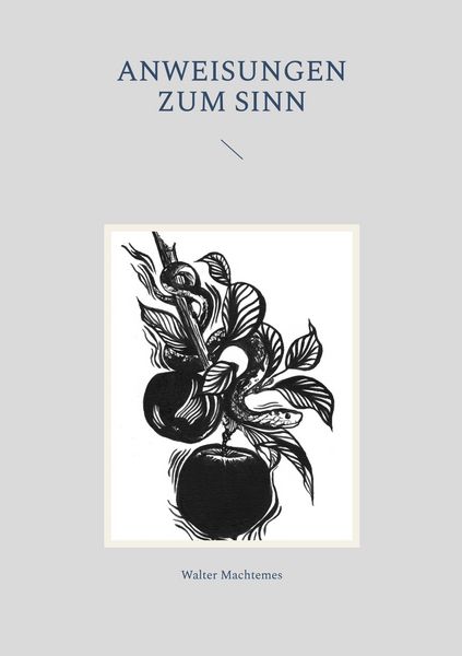 Produktbild: Anweisungen zum Sinn