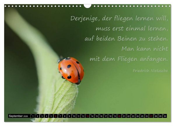 Produktbild: Das kleine, gro&szlig;e Gl&uuml;ck (Wandkalender 2026 DIN A3 quer), CALVENDO Monatskalender