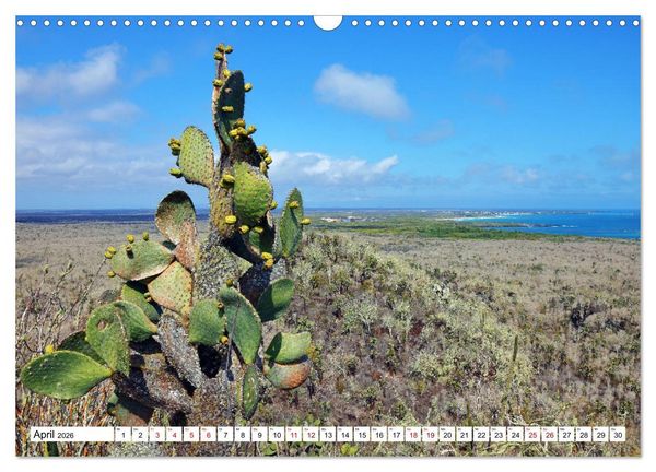 Produktbild: Gal&aacute;pagos - Die verwunschenen Inseln (Wandkalender 2026 DIN A3 quer), CALVENDO Monatskalender