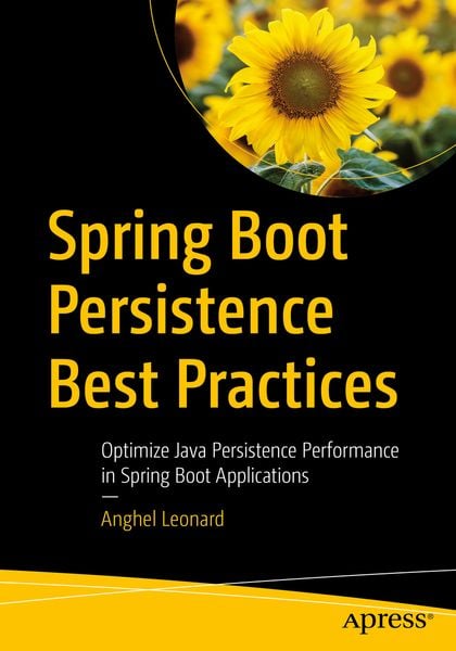 Produktbild: Spring Boot Persistence Best Practices