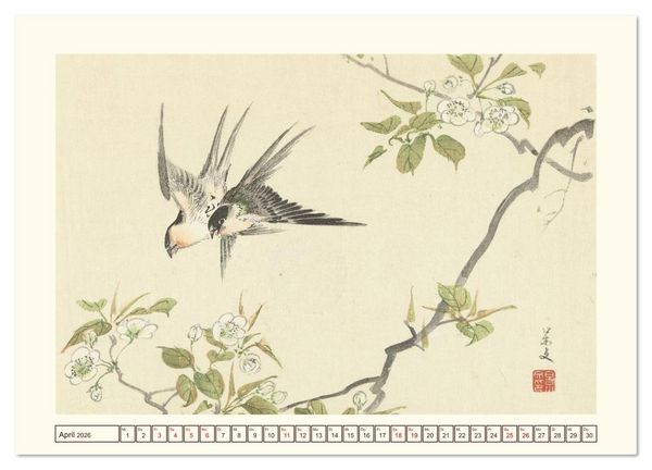 Produktbild: Bl&uuml;te und Feder (Wandkalender 2026 DIN A2 quer), CALVENDO Monatskalender