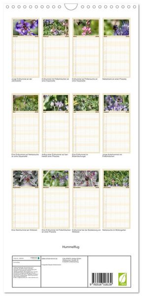 Produktbild: Familienplaner 2026 - Hummelflug mit 5 Spalten (Wandkalender, 21 x 45 cm) CALVENDO