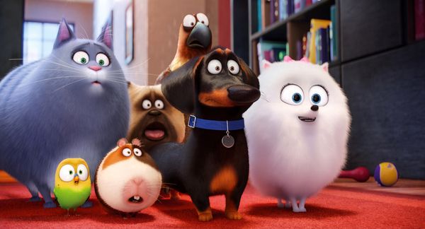 Pets (3D)