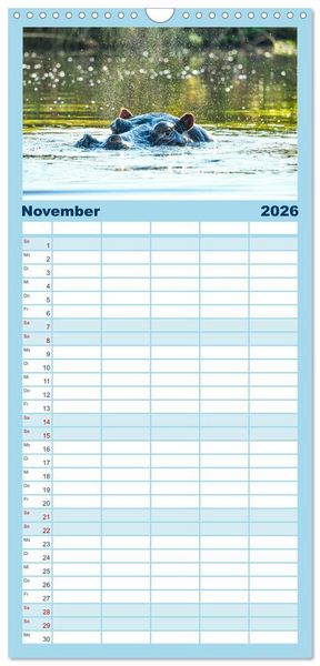 Produktbild: Familienplaner 2026 - Nilpferde, Kolosse in Afrika mit 5 Spalten (Wandkalender, 21 x 45 cm) CALVENDO