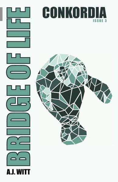 Produktbild: Bridge of Life