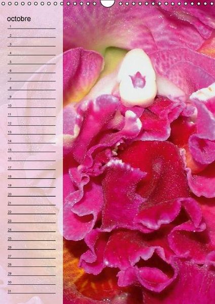 Produktbild: Blank, R: Fleurs tropicales / calendrier anniversaire (Calen