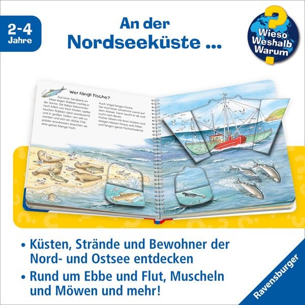 Produktbild: Am Meer / Wieso? Weshalb? Warum? Junior Bd. 17