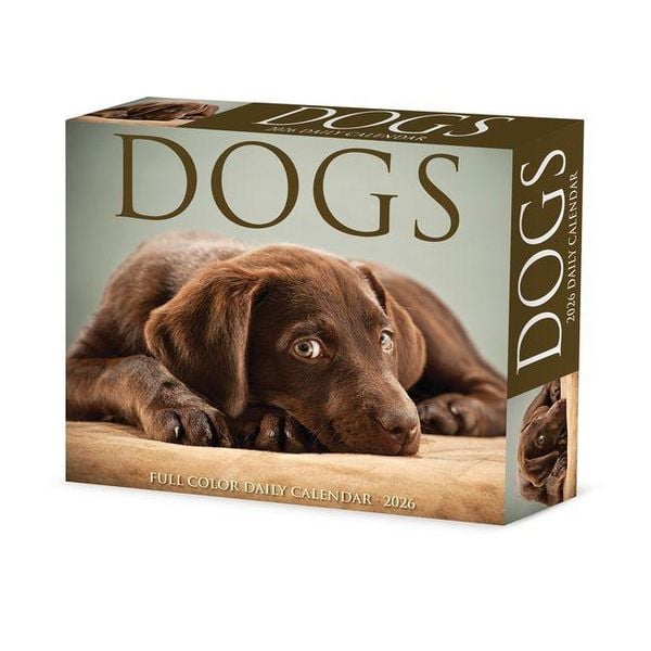 Produktbild: Dogs 2026 Box Calendar