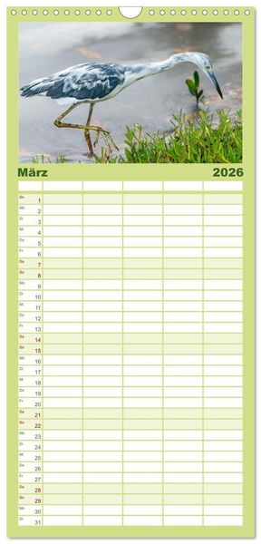 Produktbild: Familienplaner 2026 - Blaureiher und Dreifarbenreiher mit 5 Spalten (Wandkalender, 21 x 45 cm) CALVENDO