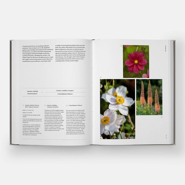 Produktbild: The Seasonal Gardener: Creative Planting Combinations