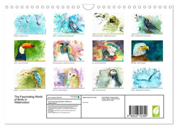 Produktbild: The Fascinating World of Birds in Watercolour (Wall Calendar 2026 DIN A4 landscape), CALVENDO 12 Month Wall Calendar