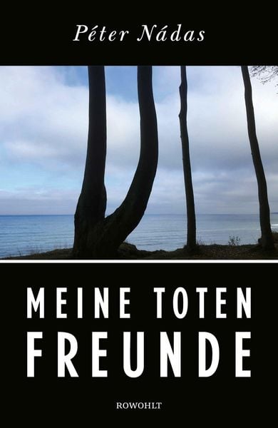 Produktbild: Meine toten Freunde