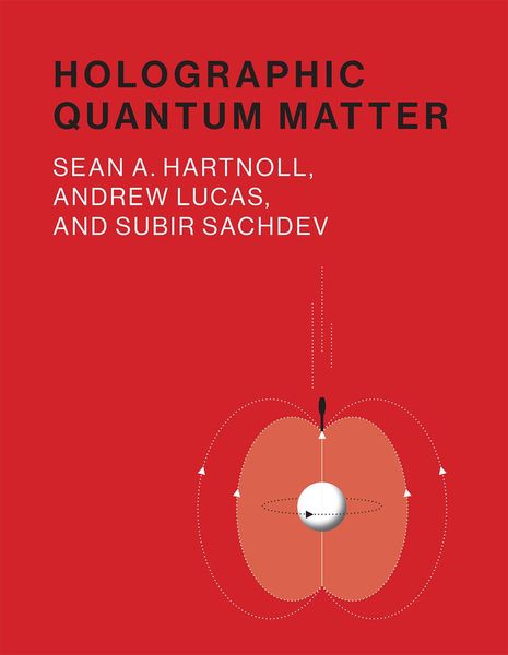 Produktbild: Holographic Quantum Matter