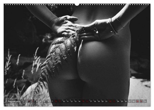 Produktbild: Sensual Secrets (Wandkalender 2026 DIN A2 quer), CALVENDO Monatskalender