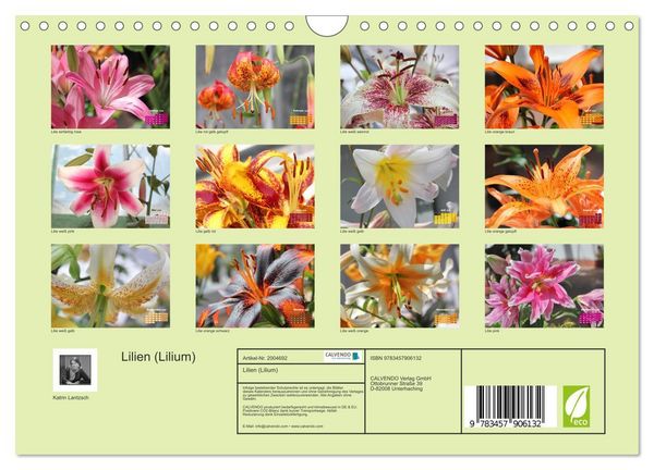 Produktbild: Lilien (Lilium) (Wandkalender 2026 DIN A4 quer), CALVENDO Monatskalender