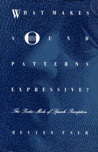 Produktbild: What Makes Sound Patterns Expressive?