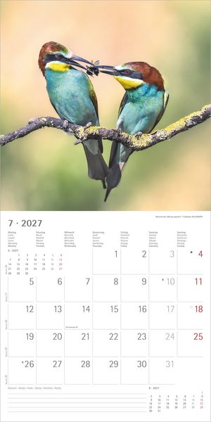 Produktbild: Einheimische V&ouml;gel 2027