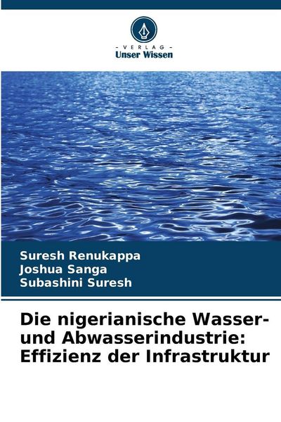 Produktbild: Die nigerianische Wasser- und Abwasserindustrie: Effizienz der Infrastruktur