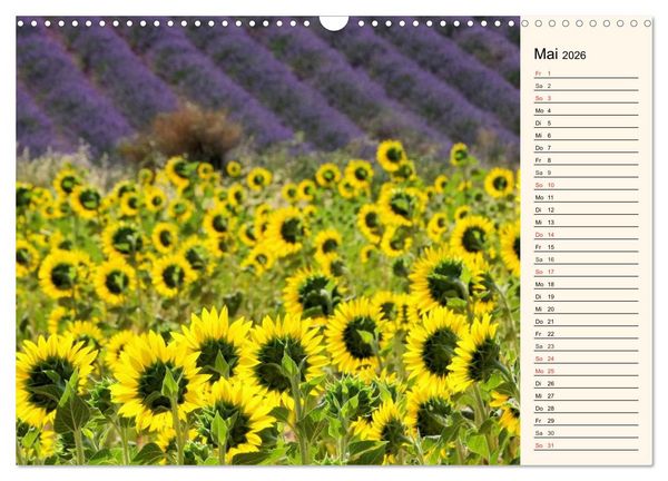 Produktbild: Lavendel (Wandkalender 2026 DIN A3 quer), CALVENDO Monatskalender