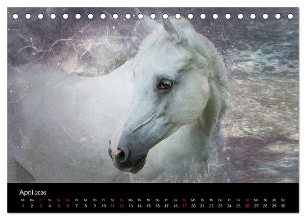 Produktbild: Pferde zum Tr&auml;umen (Tischkalender 2026 DIN A5 quer), CALVENDO Monatskalender