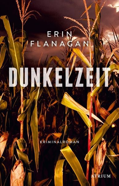 Produktbild: Dunkelzeit