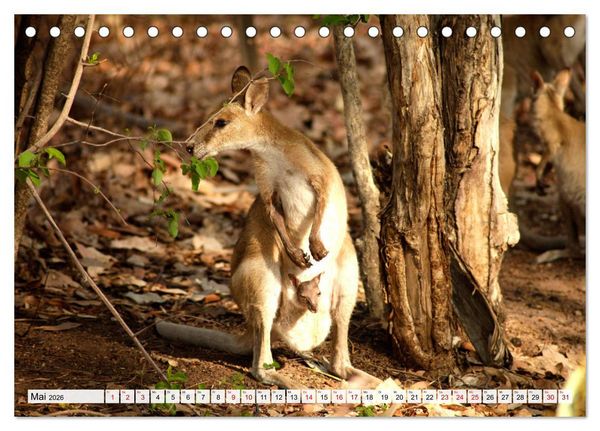 Produktbild: Australien - Northern Territory (Tischkalender 2026 DIN A5 quer), CALVENDO Monatskalender