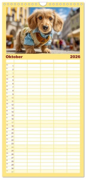 Produktbild: Familienplaner 2026 - Dackel auf gro&szlig;er Tour - S&uuml;&szlig;e Hunde entdecken die Welt mit 5 Spalten (Wandkalender, 21 x 45 cm) CALVENDO