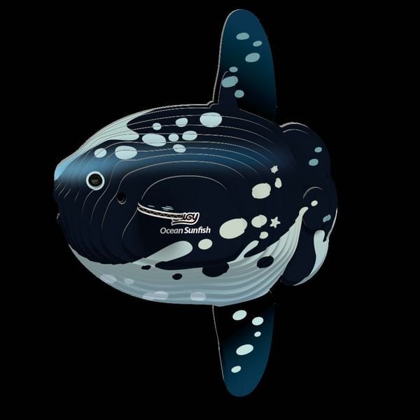 Produktbild: EUGY - 3D Bastelset Mondfisch
