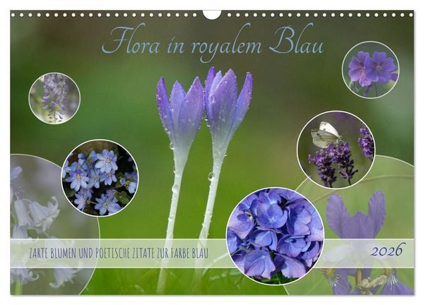 Produktbild: Flora in royalem Blau (Wandkalender 2026 DIN A3 quer), CALVENDO Monatskalender