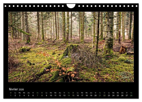 Produktbild: L'Auvergne est belle (Calendrier mural 2026 DIN A4 vertical), CALVENDO calendrier mensuel