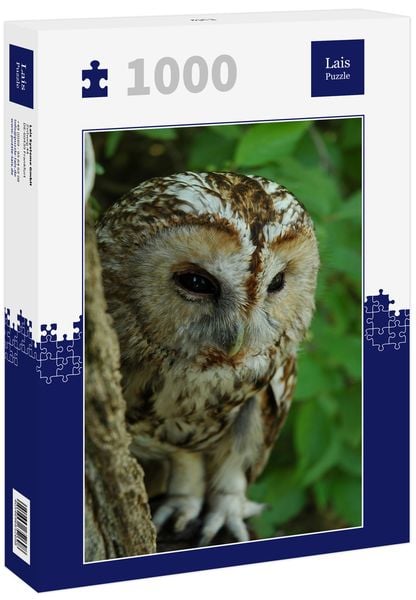 CALVENDO Puzzle Schloss in Schwerin | 1000 Teile Lege-Größe 64x48cm Foto-Puzzle für glückliche