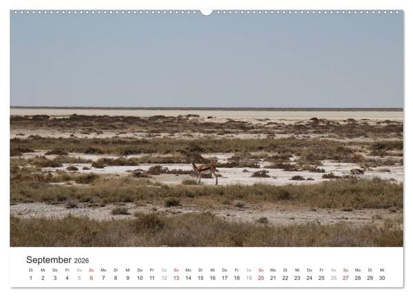 Produktbild: Namibia - Landschaftseindr&uuml;cke (hochwertiger Premium Wandkalender 2026 DIN A2 quer), Kunstdruck in Hochglanz