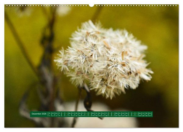 Produktbild: Unterwegs im Deister (hochwertiger Premium Wandkalender 2026 DIN A2 quer), Kunstdruck in Hochglanz